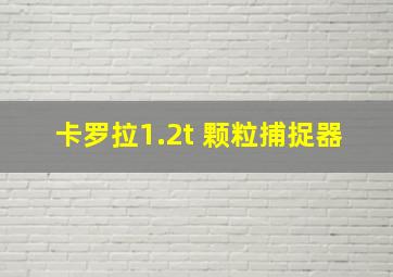 卡罗拉1.2t 颗粒捕捉器